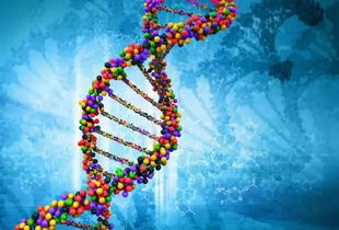 合成生物學(xué)時(shí)代的生物防御 美國(guó)新戰(zhàn)略下的軍事生物科技發(fā)展提速